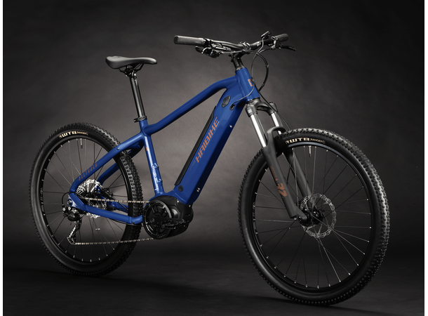 Haibike Alltrack 4 M 29",Blue/Leather,BPL,i500Wh 