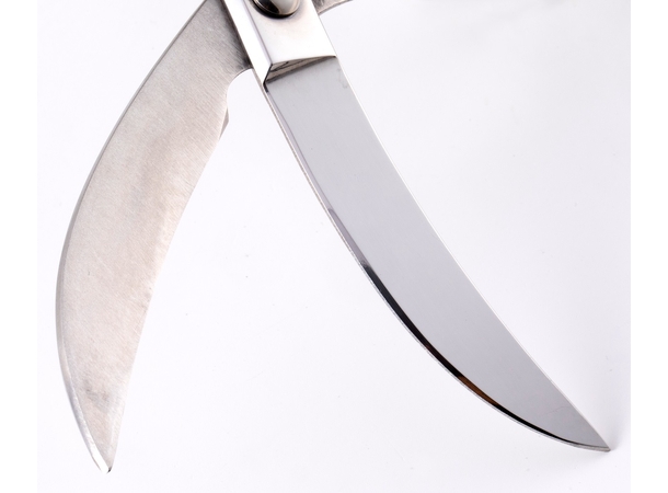 Messermeister Poultry Shear 25cm 