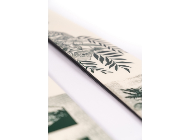 Faction Prodigy 2 Elsa 159cm 