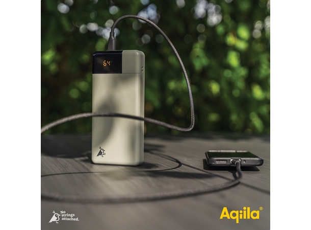 Aqiila Powerbird B20M+ 20000 mAh 65W Powerbank for mobile & laptop - Moss 