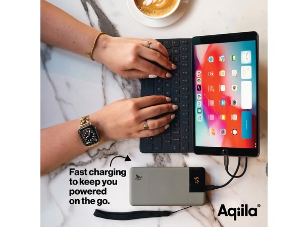 Aqiila Powerbird B20M+ 20000 mAh 65W Powerbank for mobile & laptop - Moss 