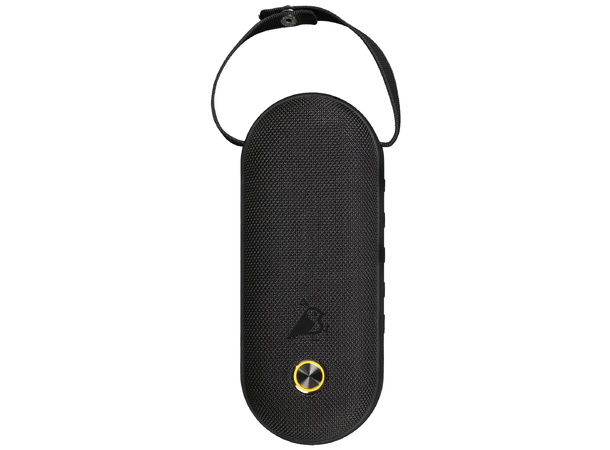 Aqiila Soundbird CM Portable Speaker 