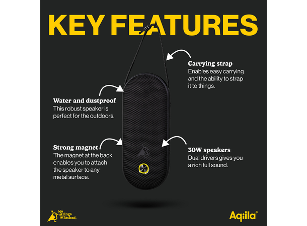 Aqiila Soundbird CM Portable Speaker 