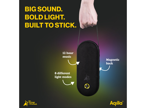 Aqiila Soundbird CM Portable Speaker 