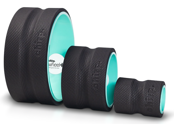 Chirp Wheel 3-pack 4", 6"and 10" 