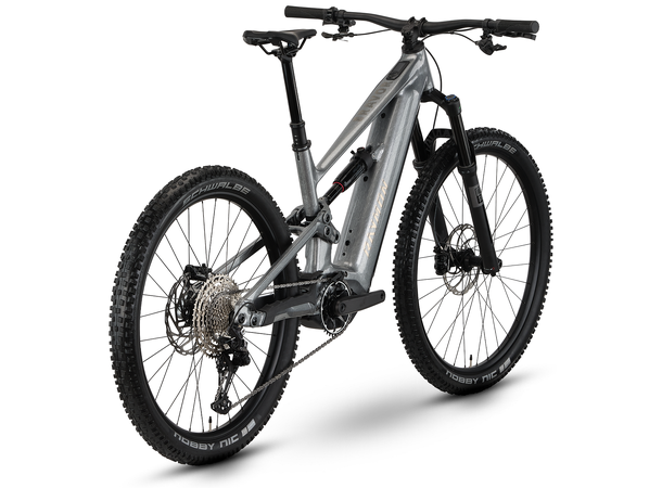 Raymon Ravor Comp S 29"/27.5", Silver Marble, YX4L, 840Wh 