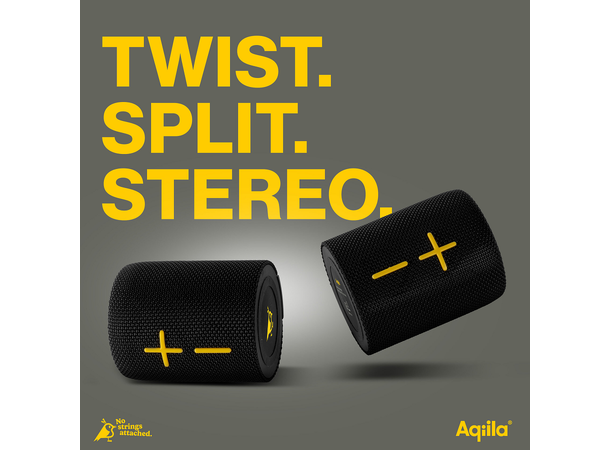 Aqiila Soundbird Duo 2-in-1 Portable Speaker 