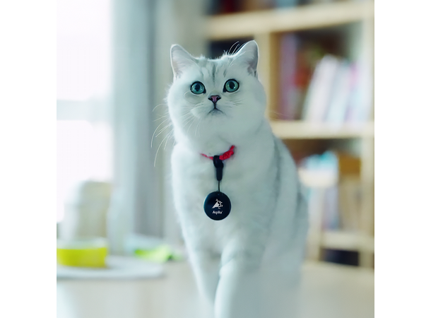 Aqiila Tagbird Mounting Bracket 