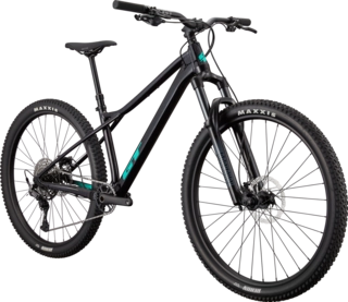 GT Zaskar LT Elite 29&quot;, black/radberry