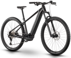 Raymon Hardray Ultra 800 M 29&quot;, mica/black/chrome, PW-X3, 800Wh
