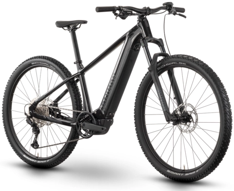 Raymon Hardray Ultra 720 29&quot;, mica/black/chrome, PW-X3, 720Wh