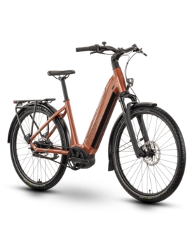 Raymon Metmo base CB mono 27.5", copper/taupe, BAP, 600Wh