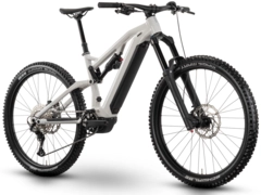 Raymon Trailray 170 S 29&quot;, storm/silver/cobalt, PW-X3, 720Wh