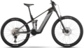 R Raymon Tarok L 29&quot;/27.5&quot;, grey/crb/citron, ZF-CX, 756Wh