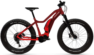 Tunturi EMax 26&quot;, burgundy red, EP6, 630Wh
