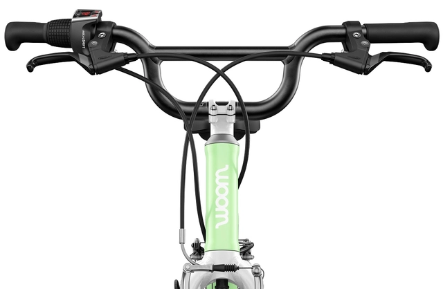 Woom Go 4 20" Spearmint Crush Ltd Edt 7,8kg, 6-8 år, 115-130cm 