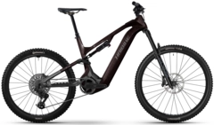 Haibike AllMtn CF 9 S 29"/27.5", Black/Platinum, BCXK, 800Wh
